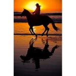 Horse Valley Stables