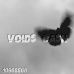 VOID$ CA$H