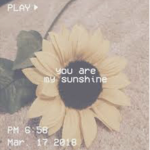 Sunshine girls / boys