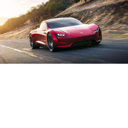 Tesla runner