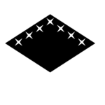 | Soul Society Squad Eleven |