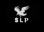 Silver Line Productions
