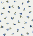 ~sami’s daisys~