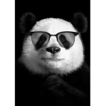 pAnDa LaVaS OnLy