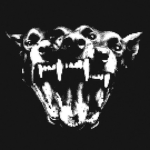 Scintillaleft