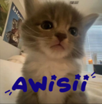 Awisii