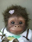 # Monkeys For life