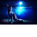 Da warrior cats group >:3