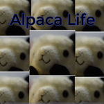 The Alpaca Life Group