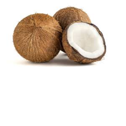 Coconut island