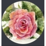 -Grace's New Block Evolution Studios Chat-
