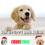 TEH #PUPPY DOG SQUAD