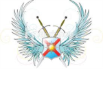 Phoenix Warriors INC.