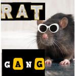rat gang reborn