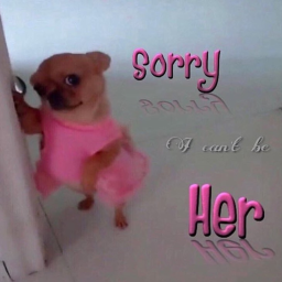 ˚✽