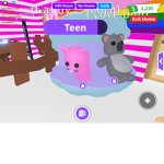 My animals