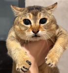 OK123456789 Group Thumbnail