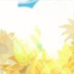 🌻