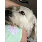 Buddy love