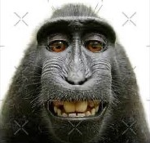 APE Groups