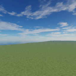 Beta test
