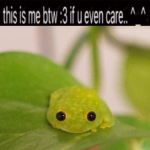 Aʀᴛᴇ ᴍɪs