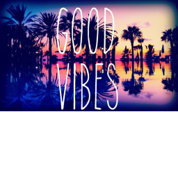 vibe oasis