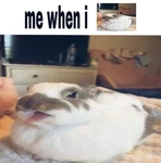 Bunni Fan Club Group Thumbnail