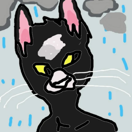 cat drawing i made
