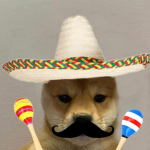 Mexican border gang
