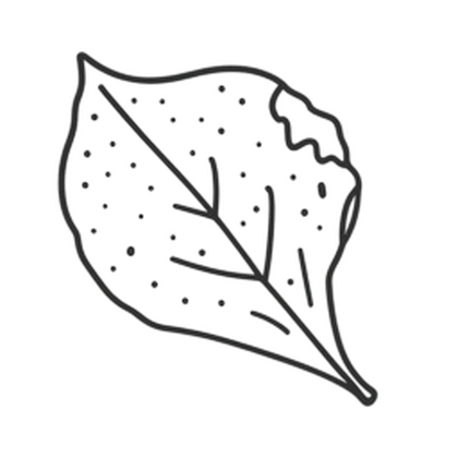 Corrupt Petal Roblox group icon