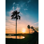 Vscodays