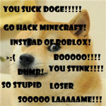 The DOGE Haters! (Sorry, Shedletsky)