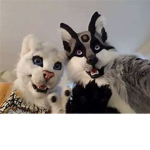 The Association of Furry Research
