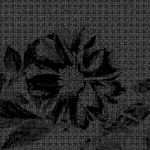Ҳ