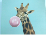 Bubblygiraffes