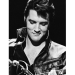 Elvis The King Of Rock And Roll
