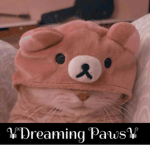 <- Dreaming Paws ->