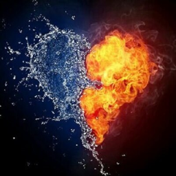 💝💝💝💝