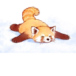 Red Panda Fam!