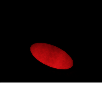 [night mode] Let Him Out