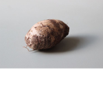 Hairy Potatoes!