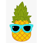 The Pineapples Fan Club