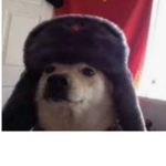 NoDripTyson Fan Group