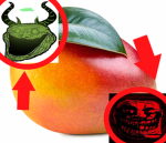 mango fetchers