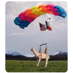 1st Alpaca Airborne Division