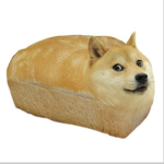Doge Class