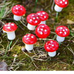The mushroom