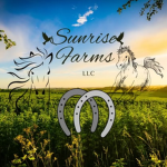 Sunrise farm llc