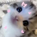 victwim